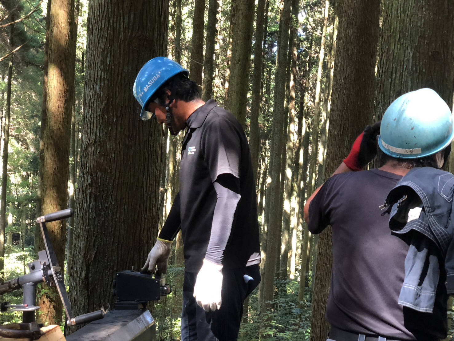 施工事例（ギャラリー）